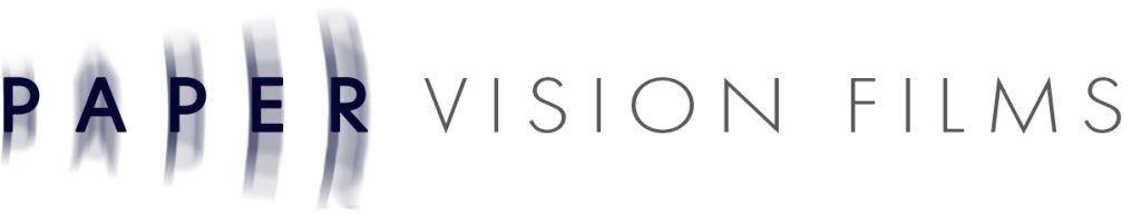paper-vision footer logo
