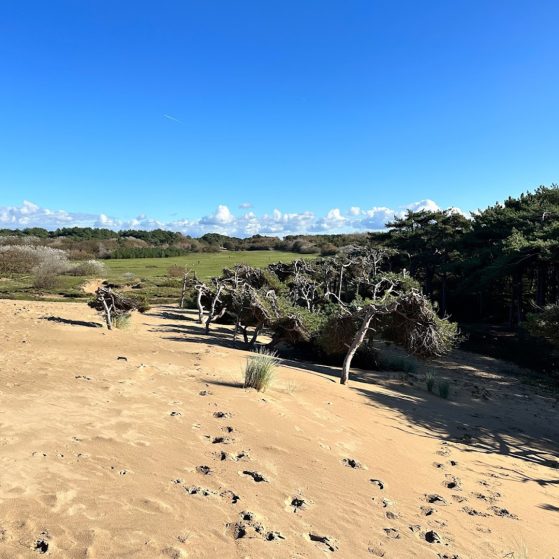 Formby Beach, Merseyside