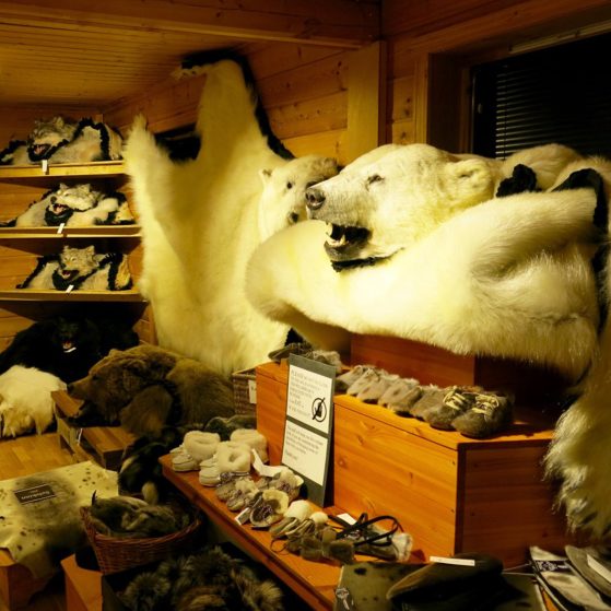 Fur Shop photo - Svalbard