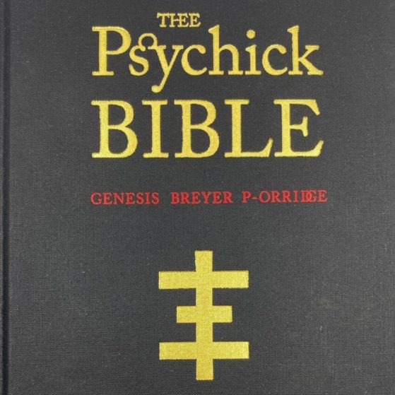 Thee Psychick Bible Genesis Breyer P-Orrige & Jason Louv